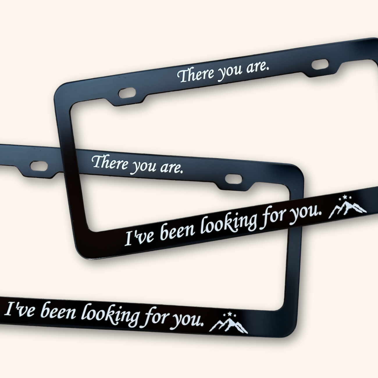 ACOTAR Night Court License Plate Frame